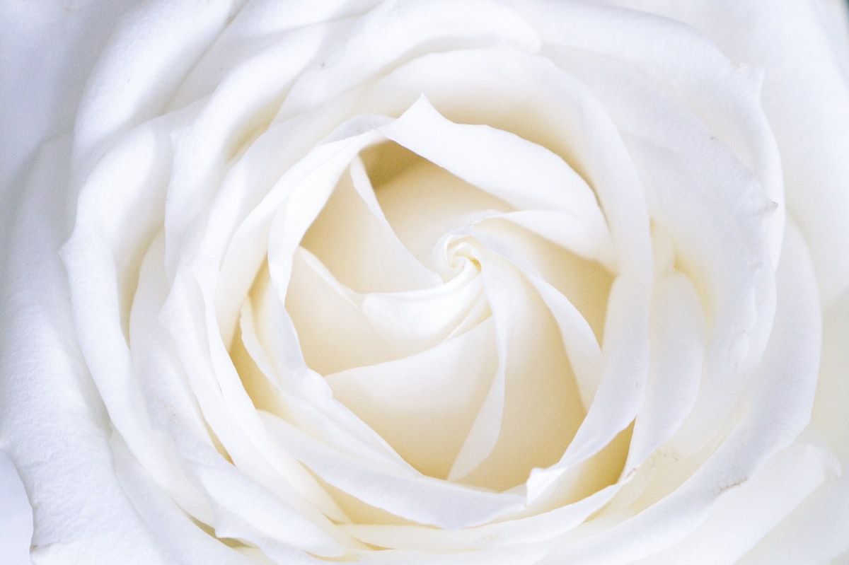 Bespoke floral design for weddings